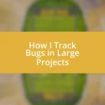 How I Track Bugs in Large Projects