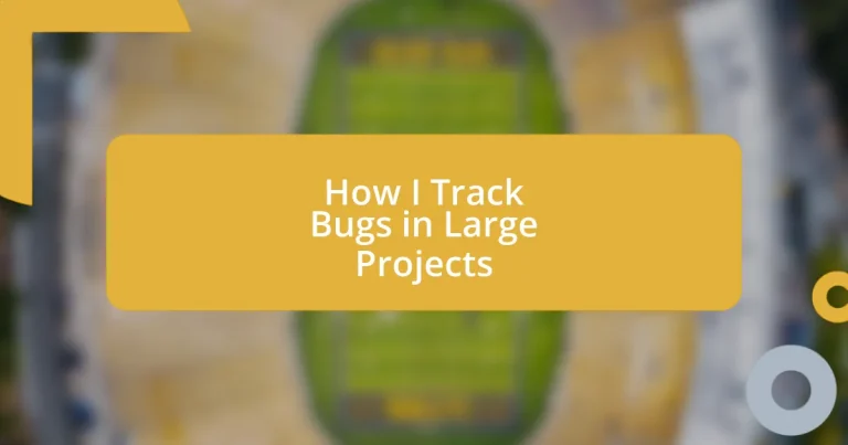 How I Track Bugs in Large Projects